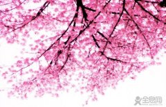 遇见，便是花开