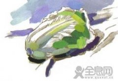 水粉画大白菜技法