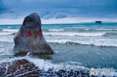 1000万尾裸鲤鱼苗放流青海湖 历年最多