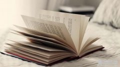 马尔克斯论争：一个关于小说是什么的问题