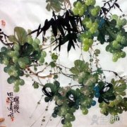 葡萄画法_绿葡萄（7）