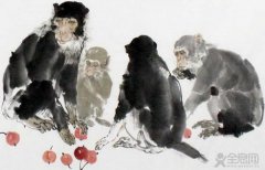 国画画猴子技法（7）