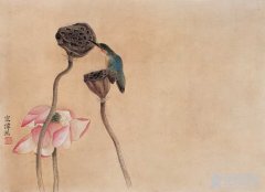 国画翠鸟和白头翁的画法