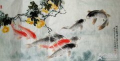 国画鲤鱼的画法