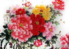 国画花、叶、枝干的画法
