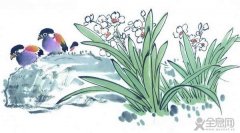 国画画水仙花技法