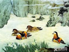 国画画鸳鸯技法