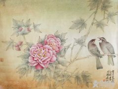 国画画芙蓉花技法