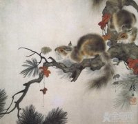 国画画松鼠技法