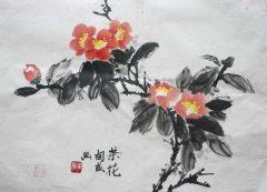 国画画山茶花技法