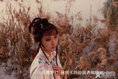 《红楼梦》黛玉心痛