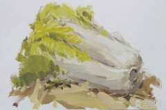 水粉画——蔬菜的表现