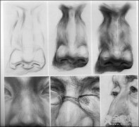 鼻子的素描画法