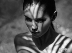 一组铅笔肖像画