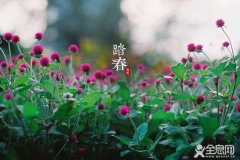 清明节传统习俗