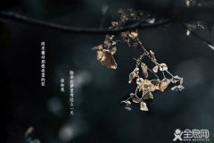 《深夜里听到乐声》——林徽因