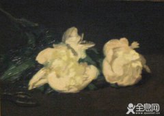 马奈《白色牡丹花》