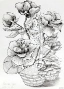 儿童美术里的那些花之黑白篇