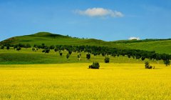 【扫黄攻略】内蒙古阿尔山