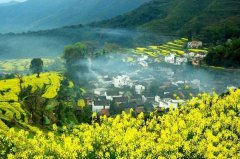 【春天的味道】以看油菜花的借口