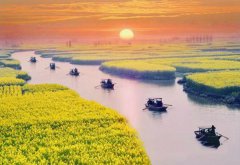 【拍摄技巧】如何拍摄油菜花