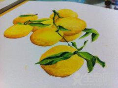 各种黄之间的不同