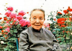 冰心人物生平