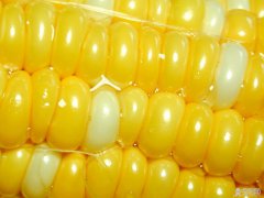 糯玉米VS甜玉米 口感营养大比拼