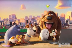 一篇假期游玩的日记