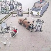 不一样的照片，不一样的创意绘画