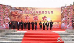 嵩县第十届银杏文化节开幕