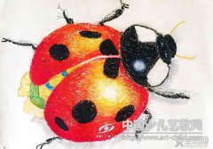 七星瓢虫-《少儿画苑》第27届国际少儿书画大赛