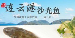 沙光鱼美食文化节开幕
