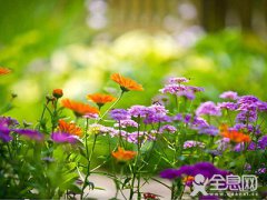 美丽乡村蝶变记