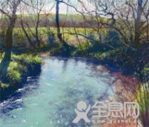 油画和色粉画混合技法