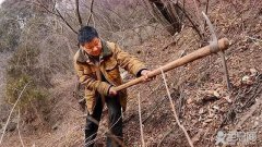 植树狂人宰银根