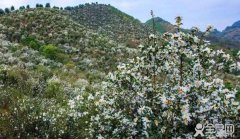 守住生态红线，呵护绿水青山