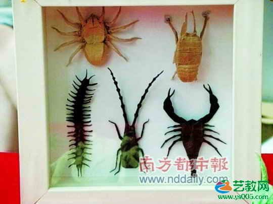 叹为观“纸”