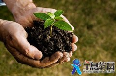 双语：即便岁月艰难 我们仍满怀感恩