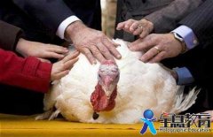 双语新闻：美国感恩节聚会变身财务大讨论
