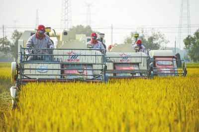 中央一号文件 继续聚焦“三农”