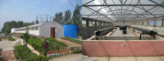 规模化养殖场废水处理及资源化利用技术