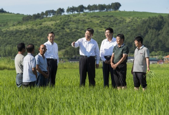 习近平:加大农村改革力度,富裕广大农民