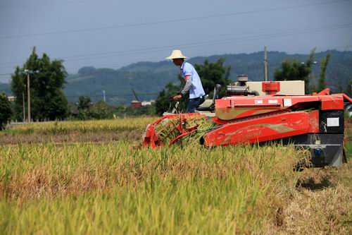 辽宁岫岩:结合中央一号文件,把握农机发展机遇
