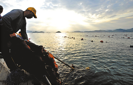 宁海县:加快象山港海洋牧场实验区的建设