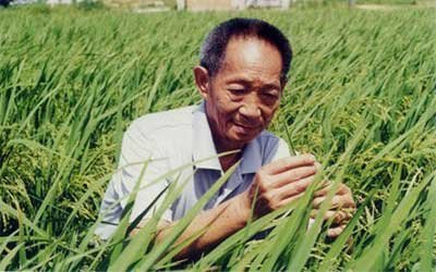 袁隆平:将超级稻推广到更多地区