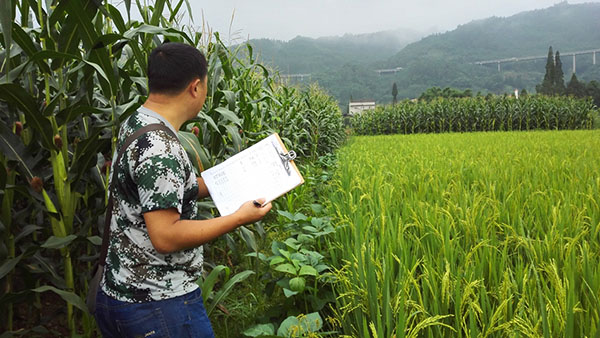 我国全面部署农业普查工作