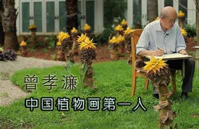 中国植物画第一人——曾孝濂