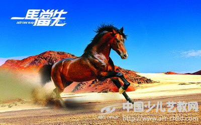 马的摄影作品