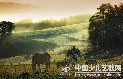 马的摄影作品欣赏
